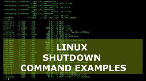 Understanding the Linux Shutdown Command: A Linux Tutorial